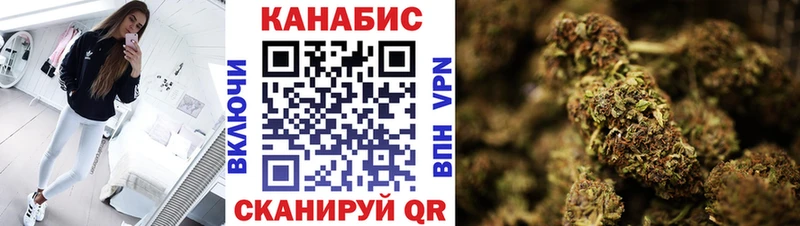Канабис OG Kush  darknet Telegram  Сураж 